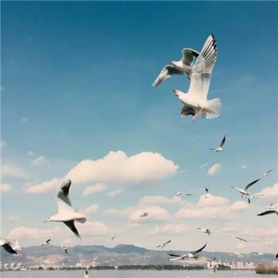 888电玩城游戏厅app下载截图